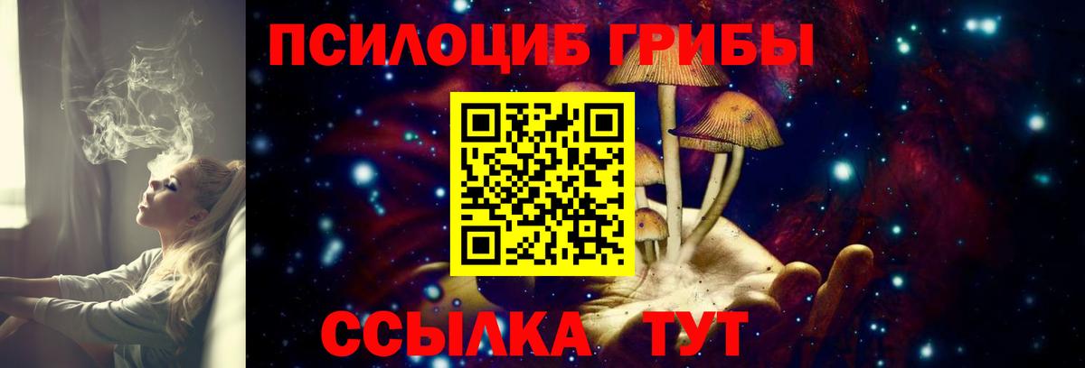 Галлюциногенные грибы Cubensis  Вход с VPN  Альметьевск 
